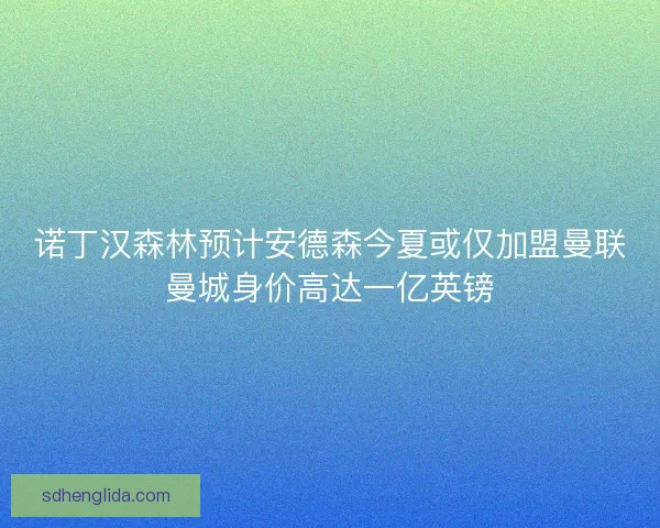 诺丁汉森林预计安德森今夏或仅加盟曼联曼城身价高达一亿英镑